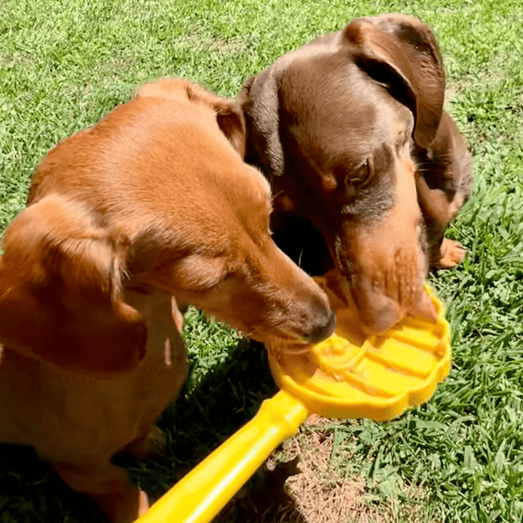 Lick Sticks | Interactive Dog Training Toy