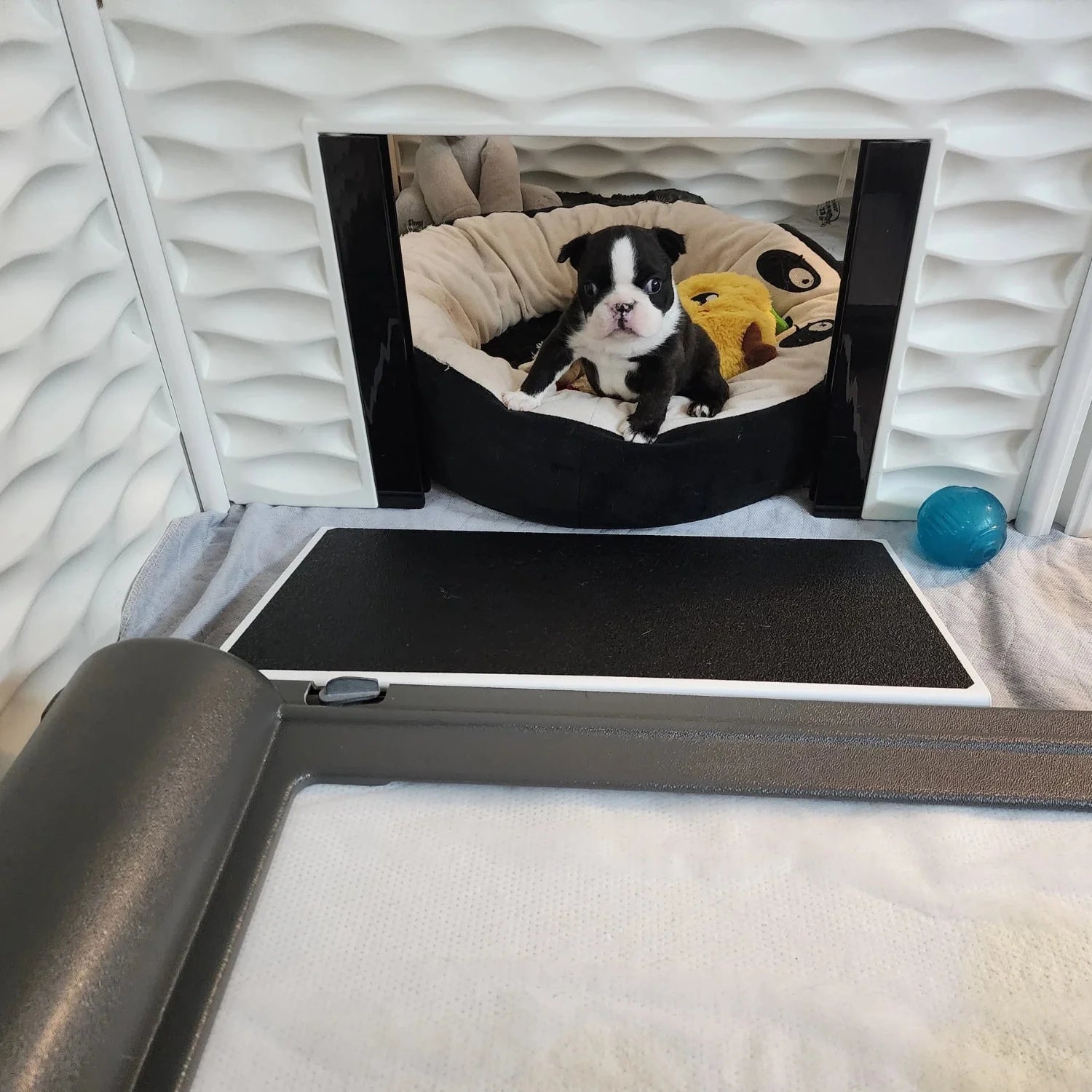 BrilliantPad Professional for Breeders